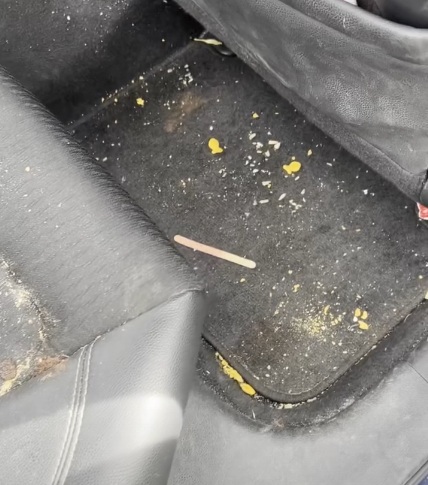 Vehicle interior before detailing